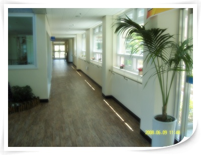 갈릴리마을 이미지 9