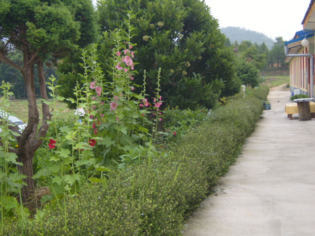 고흥섬돌마을 이미지 12