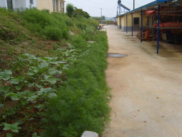 고흥섬돌마을 이미지 11