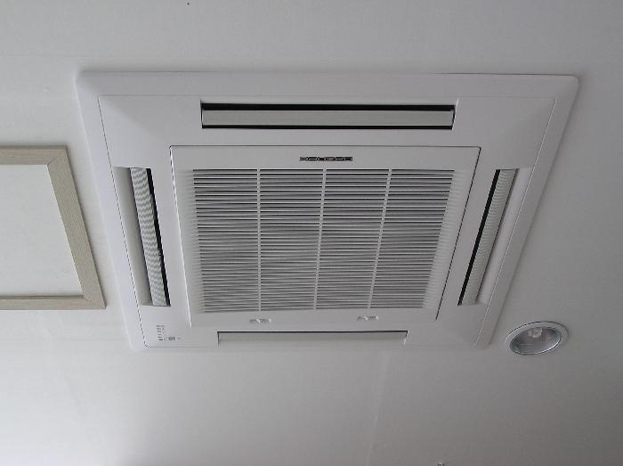 곰메실버원 이미지 6