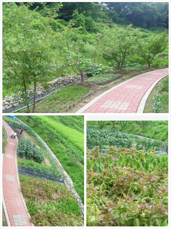 구이노인요양원 이미지 4