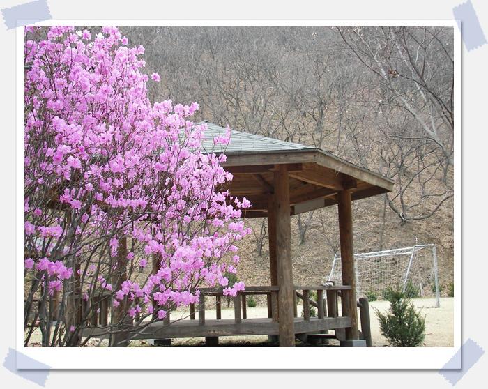 광림노인전문요양원 이미지 6