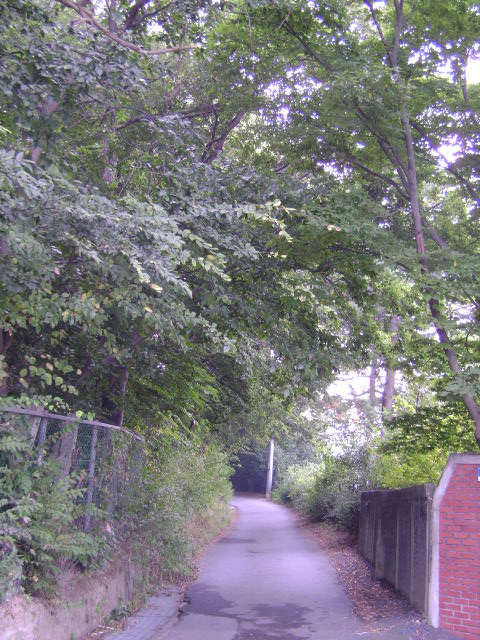 고향의집 이미지 5