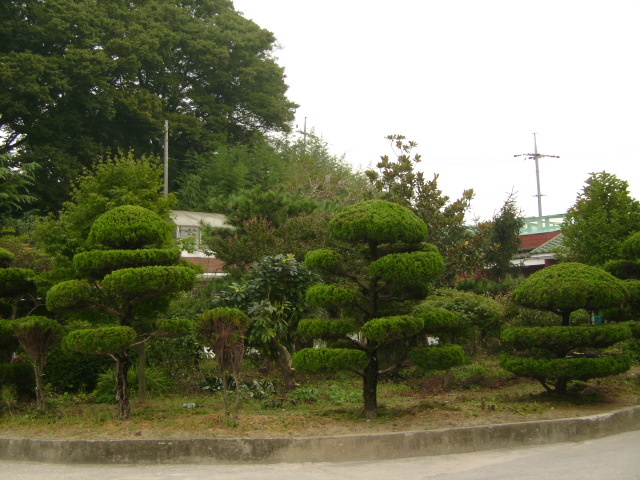 고향의집 이미지 2