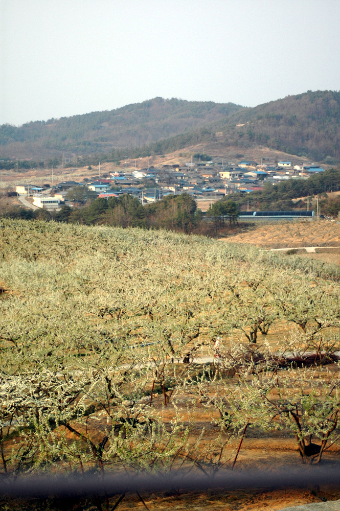 SMS그린힐 군위요양원 이미지 2