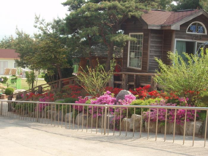 강릉효도마을 이미지 10