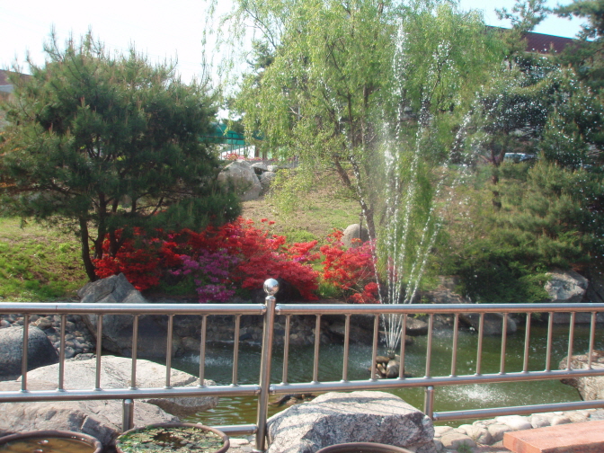 강릉효도마을 이미지 8