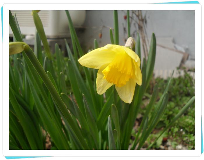 군산소망요양원 이미지 4