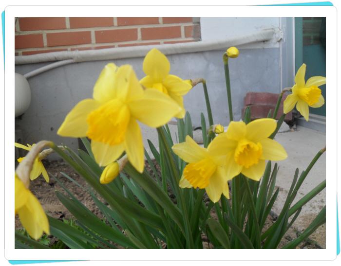 군산소망요양원 이미지 3