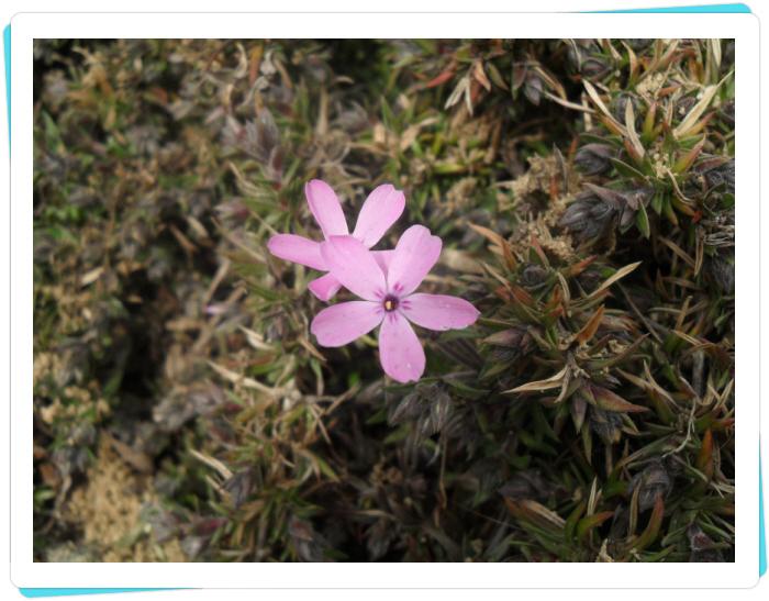 군산소망요양원 이미지 14