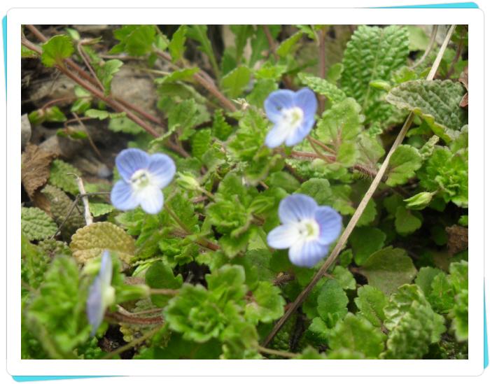 군산소망요양원 이미지 13