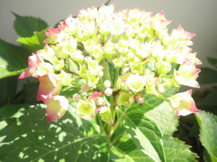 국민요양원 이미지 7