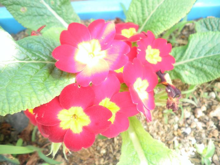 국민요양원 이미지 5