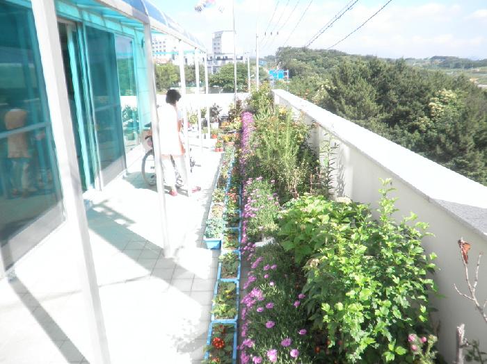 국민요양원 이미지 4