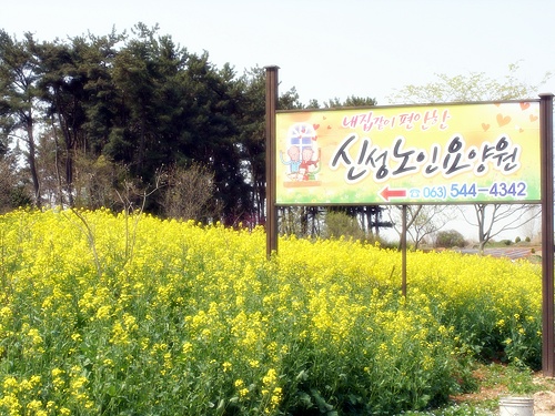 가정요양원 이미지 10