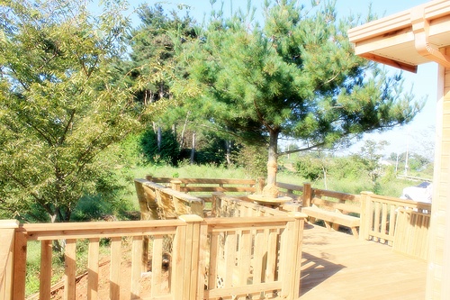 가정요양원 이미지 8