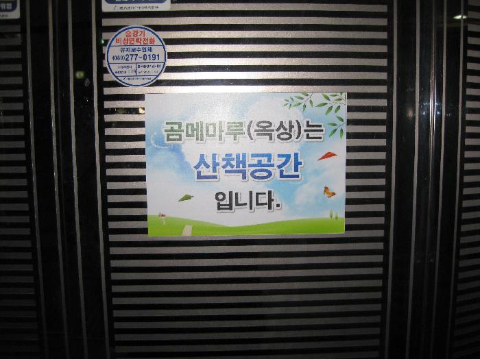 곰메실버원 이미지 3