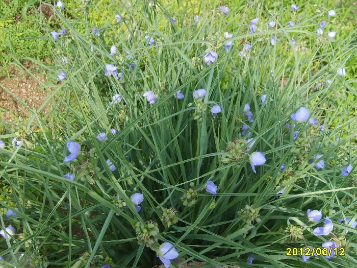 가족처럼노인요양원 이미지 10