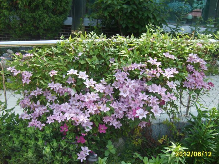 가족처럼노인요양원 이미지 23