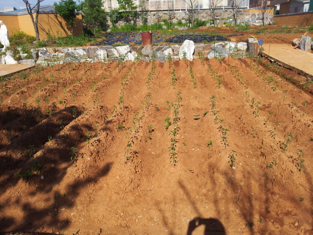 YJ요양원 이미지 8