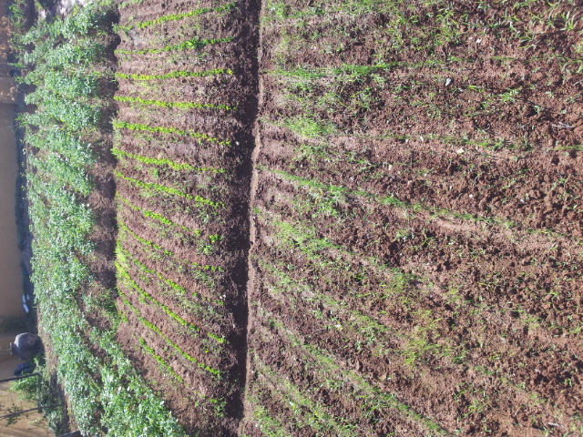 YJ요양원 이미지 7