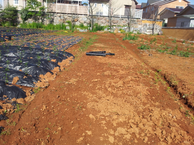 YJ요양원 이미지 6