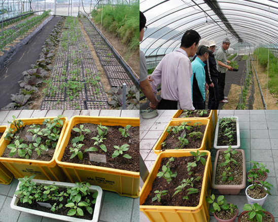 국민요양원 이미지 36