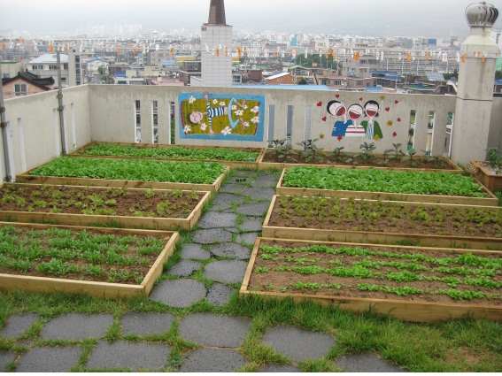 곰메실버원 이미지 15