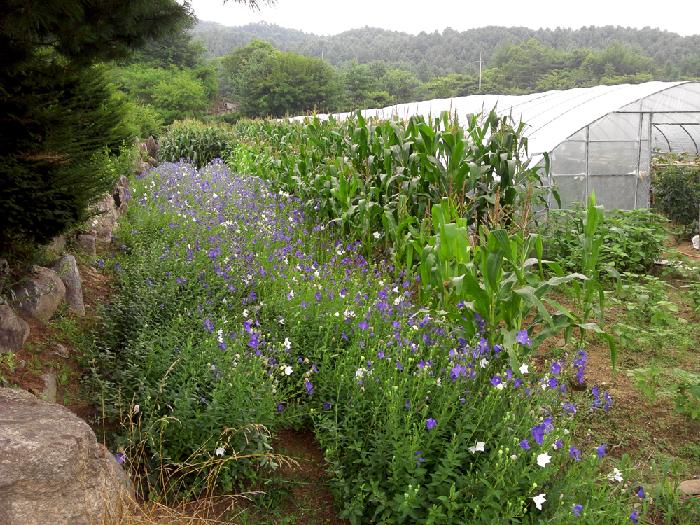 광명노인요양원 이미지 6