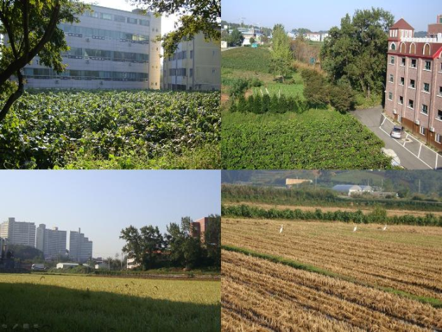 강남행복한요양원