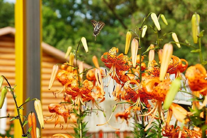 강화요양원 이미지 18