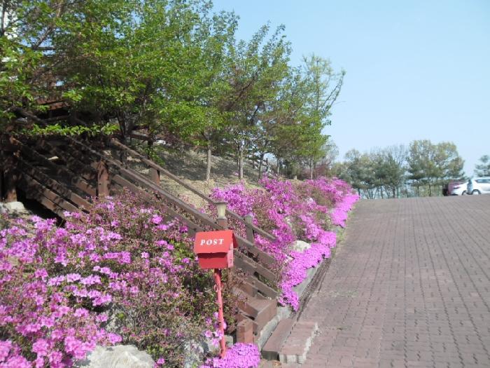 강화요양원 이미지 17