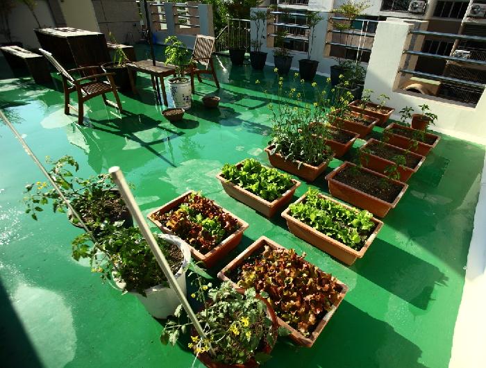 가인실버홈 이미지 2