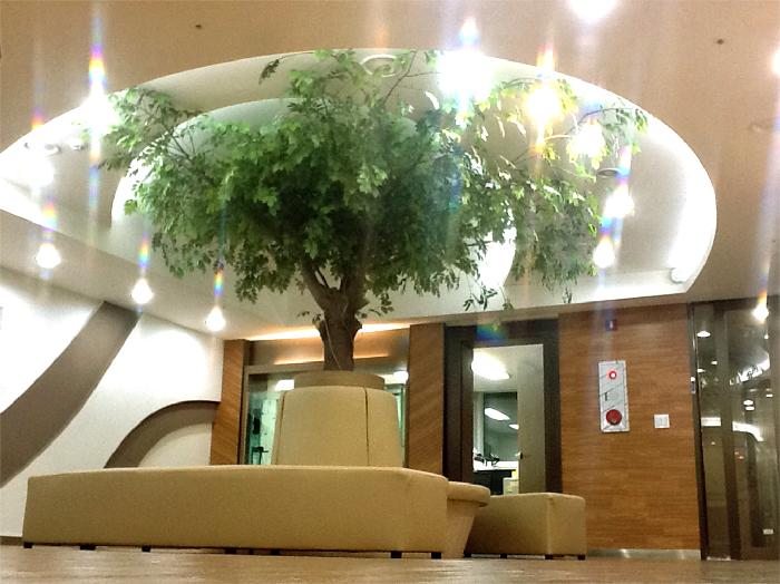 구로푸른요양원 이미지 10