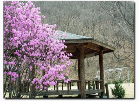 광림노인전문요양원 이미지 26