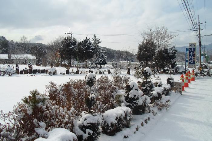 가족처럼노인요양원 이미지 12