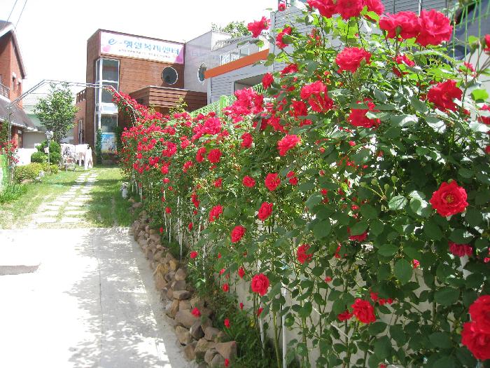 e-햇살복지센터 이미지 4