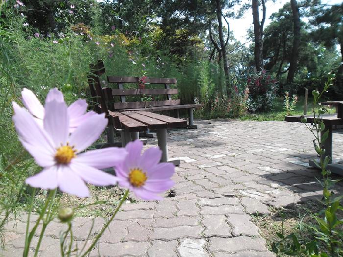 강화요양원 이미지 27