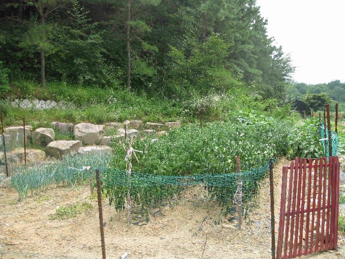 123장수나라 이미지 13