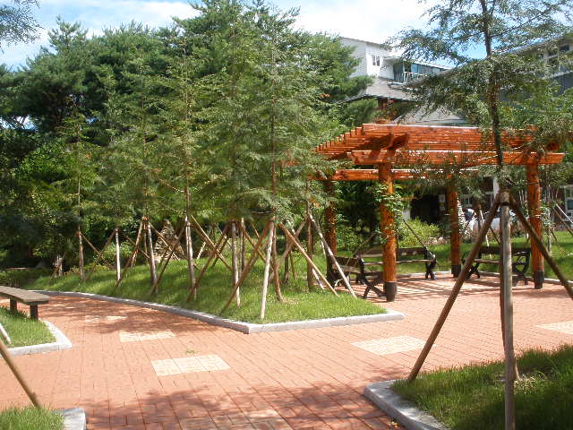 강릉효도마을 이미지 5