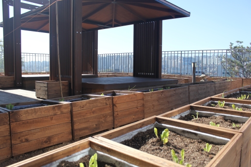 강북실버종합복지센터 이미지 3