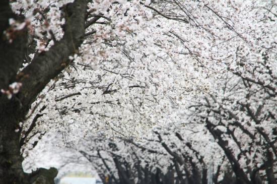 e-편한요양센터 이미지 42