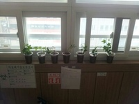 e-편한요양센터 이미지 38