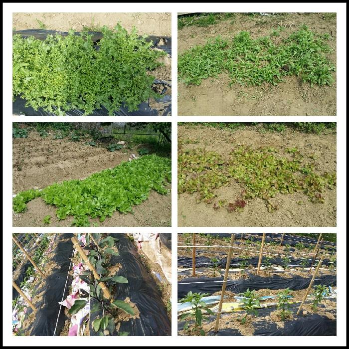 A+서울실버노인전문요양원 이미지 10