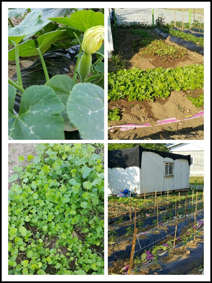 A+서울실버노인전문요양원 이미지 8