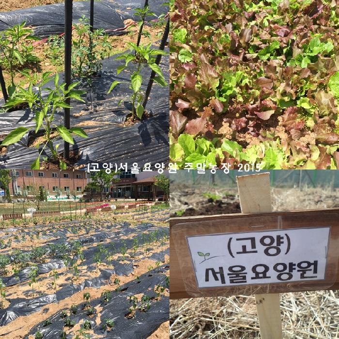 (고양)서울요양원 이미지 13