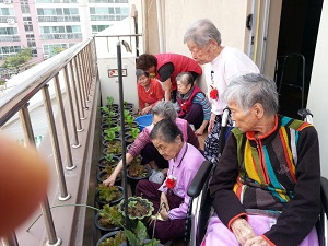 고운손요양원 이미지 6