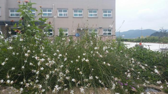 가현누리실버타운 이미지 11