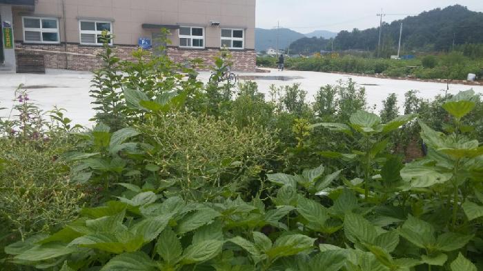 가현누리실버타운 이미지 10