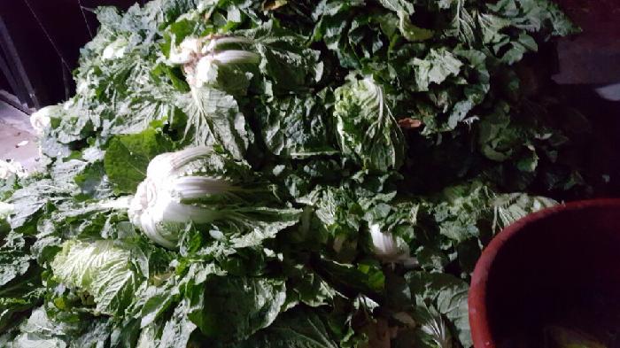 A+서울실버노인전문요양원 이미지 3